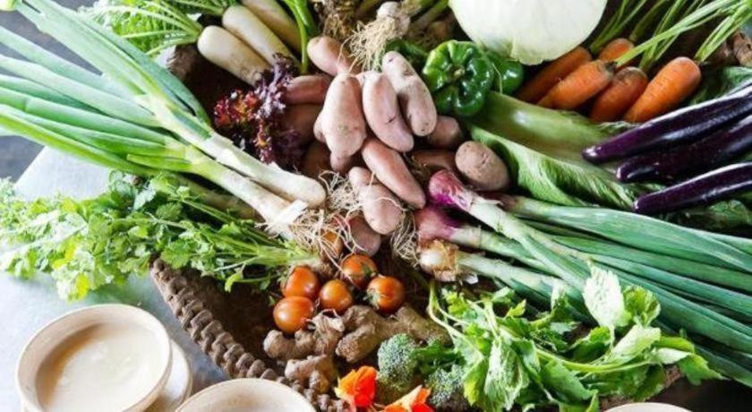 Hananoie - A Permaculture Resort ポカラ エクステリア 写真