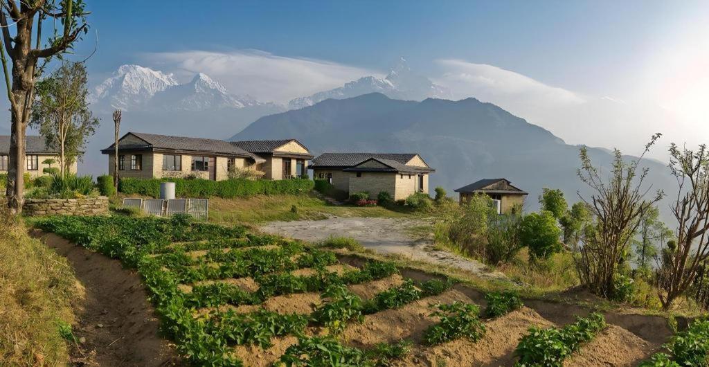 Hananoie - A Permaculture Resort ポカラ エクステリア 写真